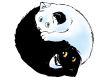 Ying Yang